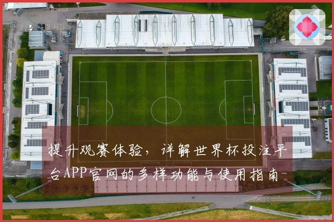 提升观赛体验，详解世界杯投注平台APP官网的多样功能与使用指南