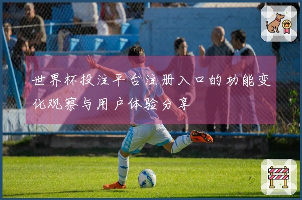 世界杯投注平台注册入口的功能变化观察与用户体验分享