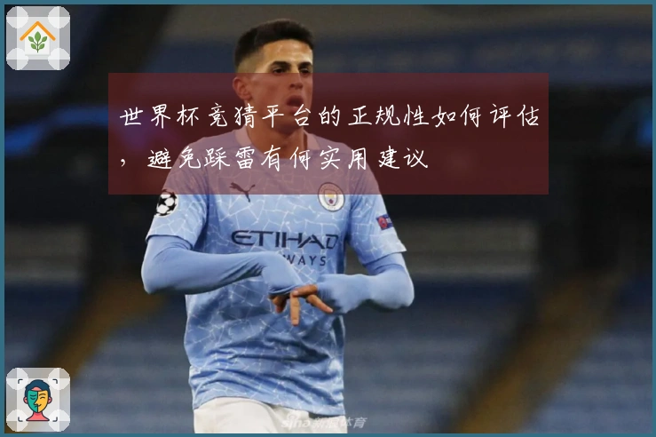 世界杯竞猜平台的正规性如何评估，避免踩雷有何实用建议