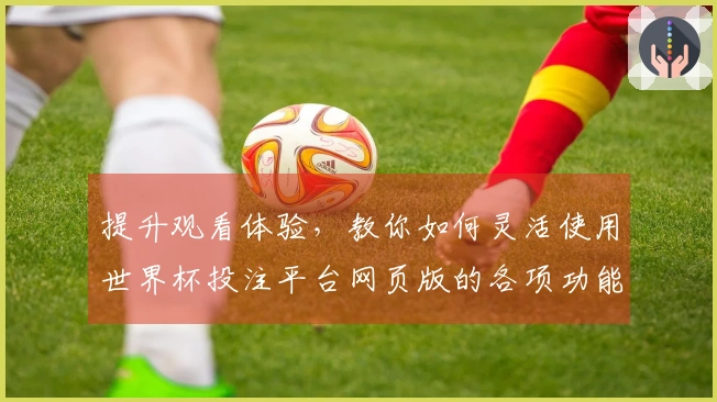 提升观看体验，教你如何灵活使用世界杯投注平台网页版的各项功能