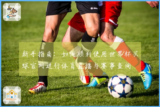新手指南：如何顺利使用世界杯买球官网进行体育直播与赛事查询