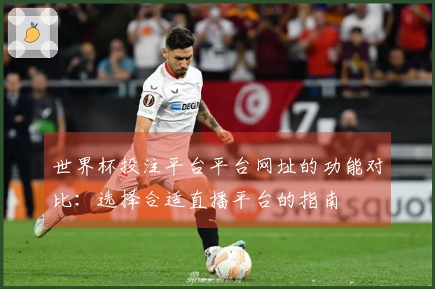 世界杯投注平台平台网址的功能对比：选择合适直播平台的指南