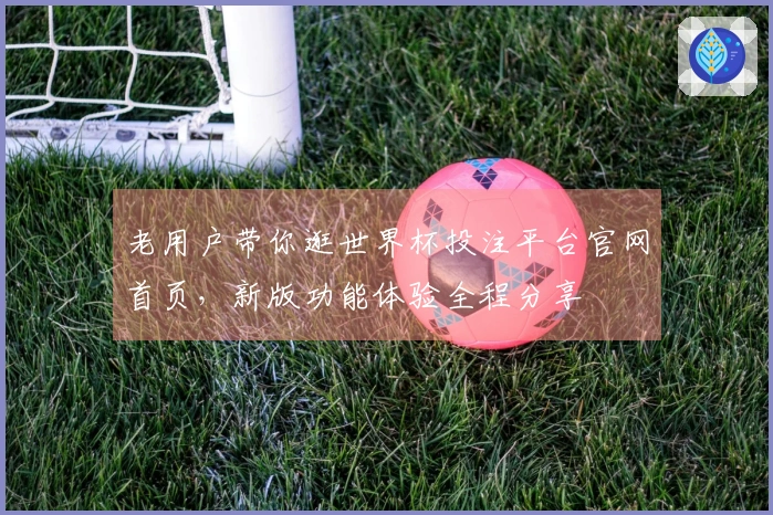 老用户带你逛世界杯投注平台官网首页，新版功能体验全程分享