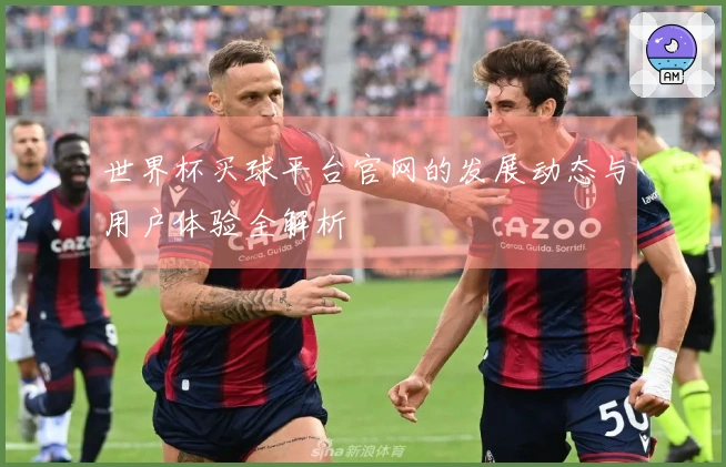 世界杯买球平台官网的发展动态与用户体验全解析