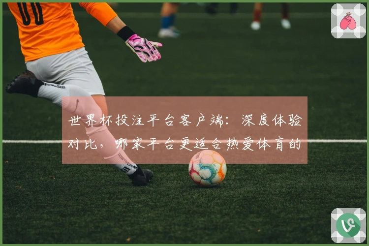世界杯投注平台客户端:深度体验对比,哪家平台更适合热爱体育的你?