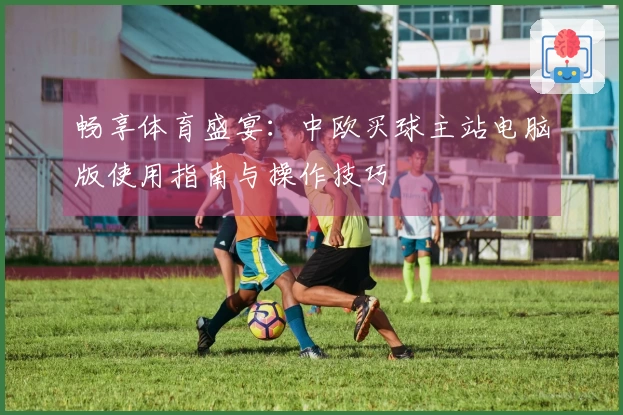 畅享体育盛宴：中欧买球主站电脑版使用指南与操作技巧