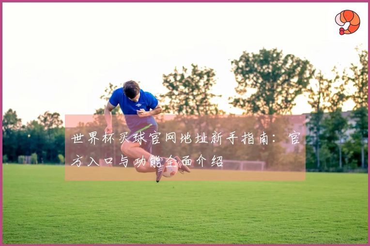 世界杯买球官网地址新手指南：官方入口与功能全面介绍